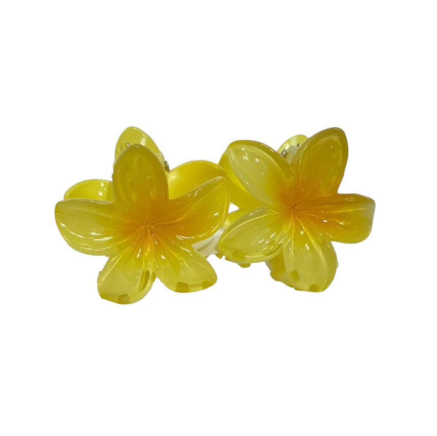 Set de 2 Pinzas Flor