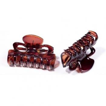 Set de 2 mini pinzas cabello Carey