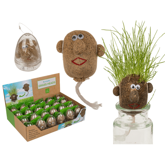 Cultiva tu propia maceta Grass Head